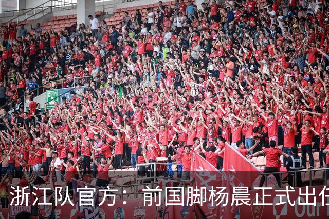 浙江队官方：前国脚杨晨正式出任俱乐部总经理
